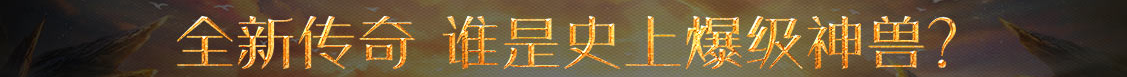 数字站投资决策